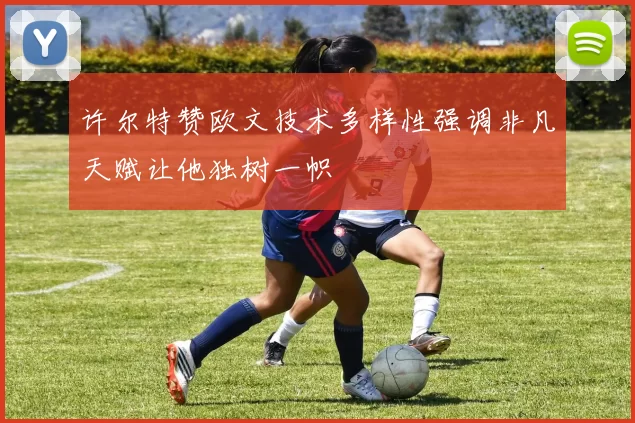 许尔特赞欧文技术多样性强调非凡天赋让他独树一帜